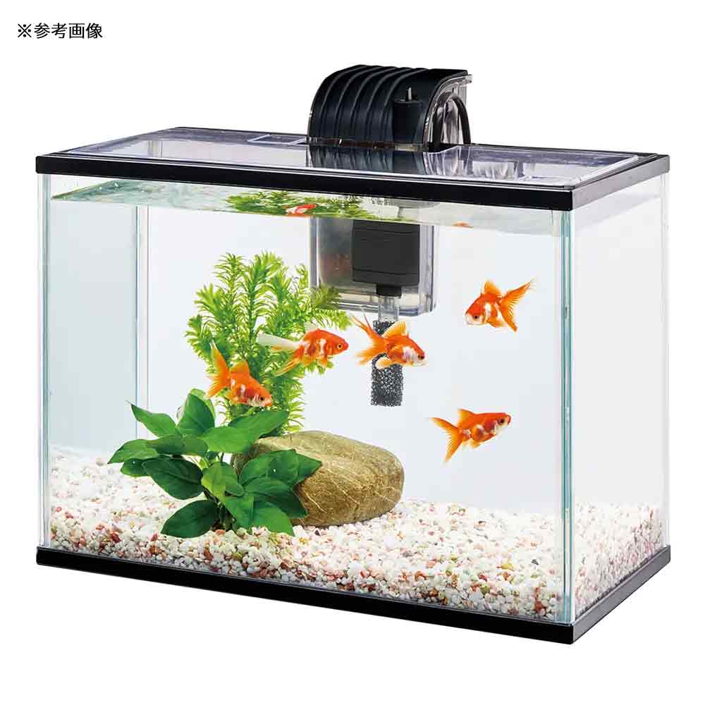 テトラ　金魚・メダカのらくらくアクア　L　幅39×奥行き21×高さ28．5cm　関東当日便