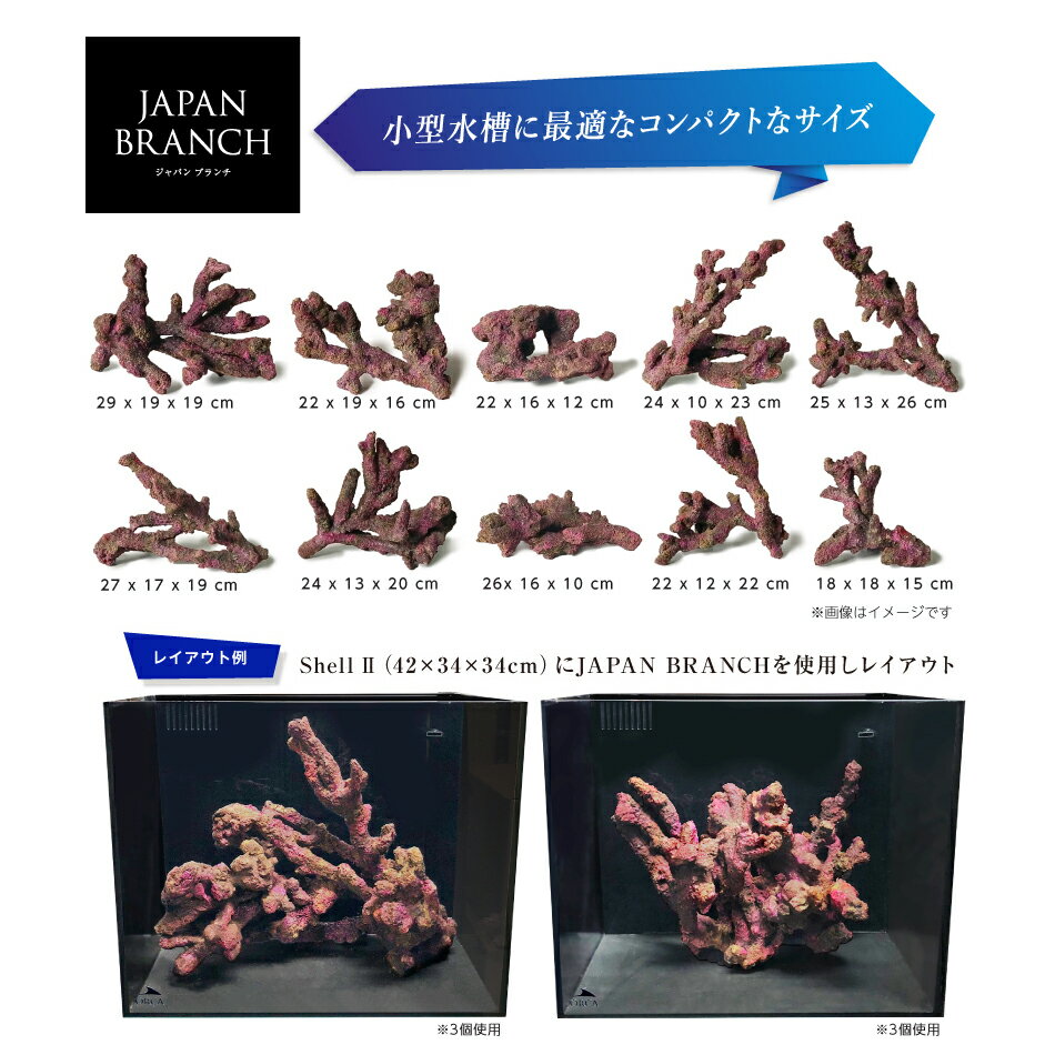 ORCA��OCEAN��ROCK��JAPAN��BRANCH���饤�֥��å���ץꥫ����60cm���塡����������