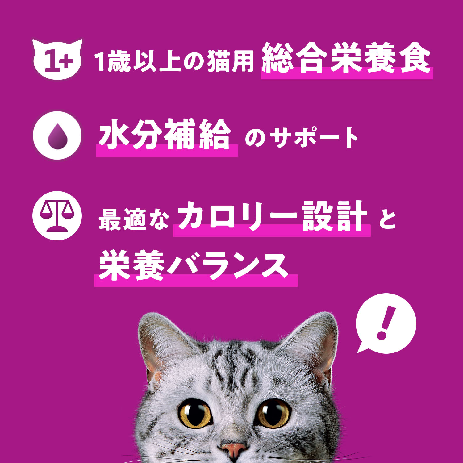 キャットフード　カルカン　パウチ　成猫用　お魚お肉ミックス　5種セット　計60袋　関東当日便 chanet3980-10115136 charm 3980 楽天市場店 サンプル画像3