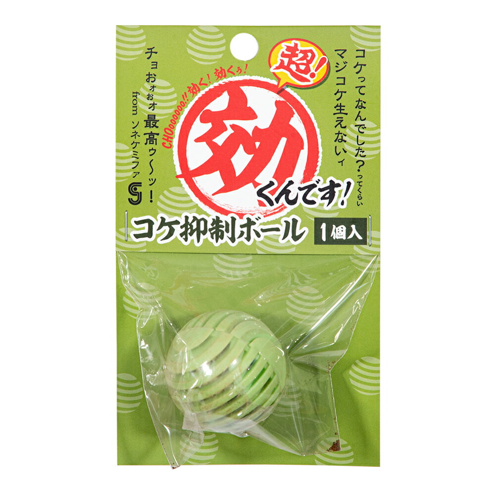 ���ͥ��ߥե���Ķ������Ǥ������������ܡ��롡1����������������