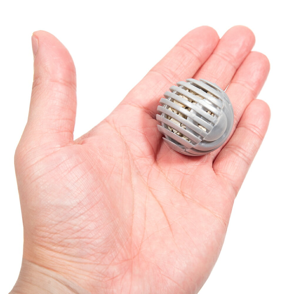 ���ͥ��ߥե���Ķ������Ǥ���ǼƦ�ݥܡ��롡1����������������