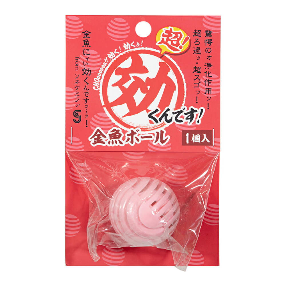 ���ͥ��ߥե���Ķ������Ǥ�������ܡ��롡1����������������