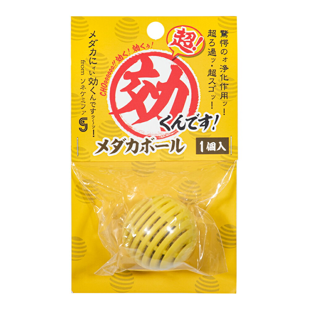 ���ͥ��ߥե���Ķ������Ǥ���������ܡ��롡1����������������