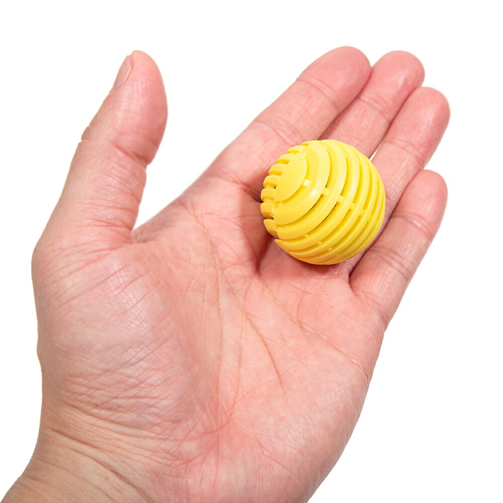 ���ͥ��ߥե���Ķ������Ǥ���������ܡ��롡1����������������