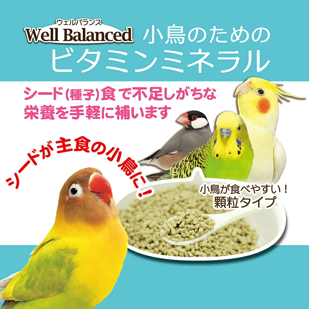 三晃商会　ウェルバランス　小鳥のためのビタミンミネラル　20g　鳥　インコ　サプリメント　関東当日便 chanet3980-10120253 charm 3980 楽天市場店 サンプル画像2