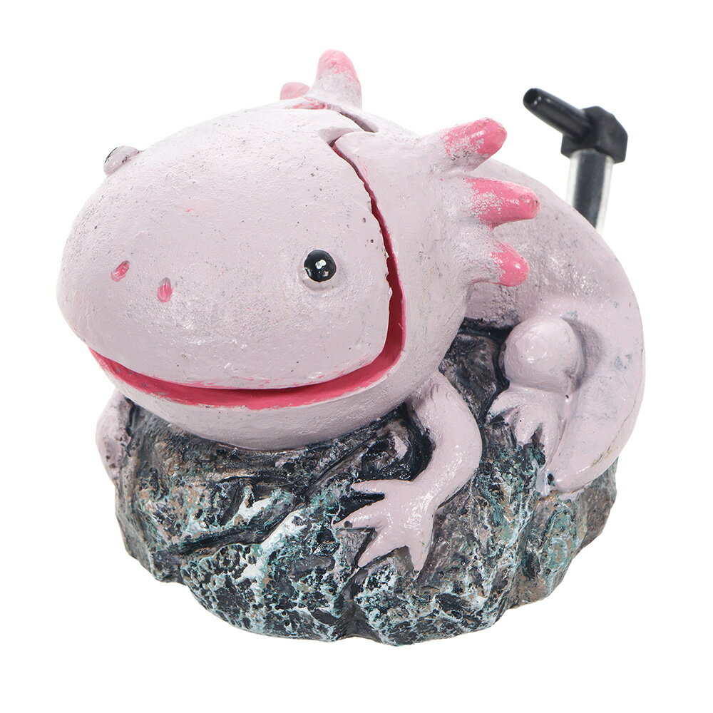 ���ȥ֥����ݡ��Ѥ��Ѥ��Ǥ��������ѡ��롼�ѡ�������������