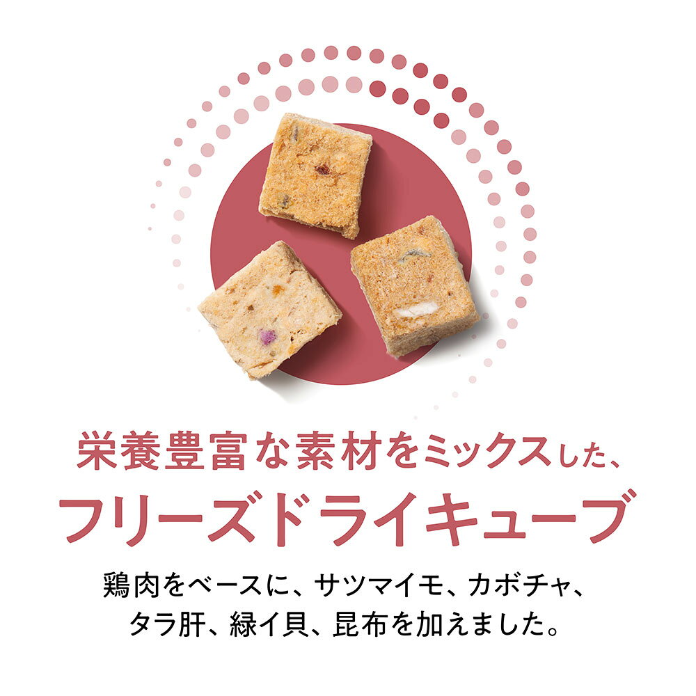キャットフード　高齢猫　GEX　Catit（キャットイット）　Recipes　SENIOR　400g　高齢猫　シニア　関東当日便 chanet3980-10117104 charm 3980 楽天市場店 サンプル画像3