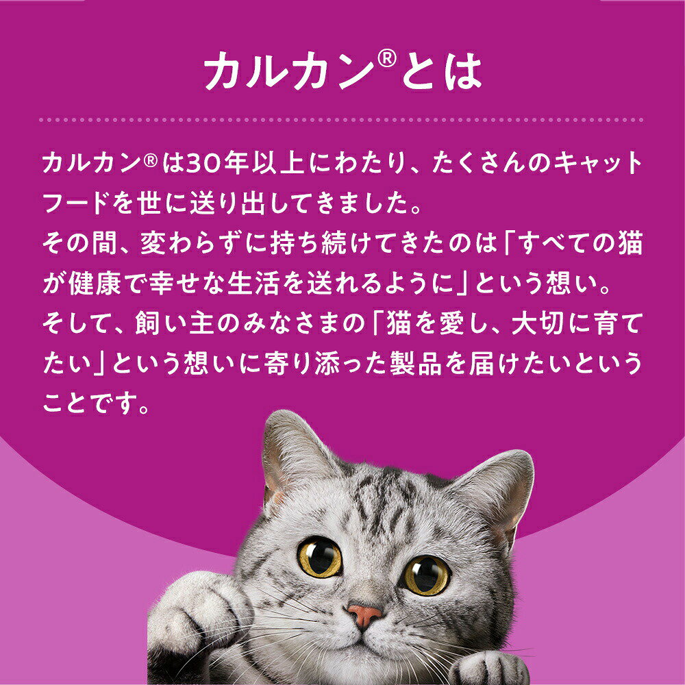 ���륫�󡡥ѥ�����18�Ф��顡�ޤ�����60g������åȥա��ɡ�����������
