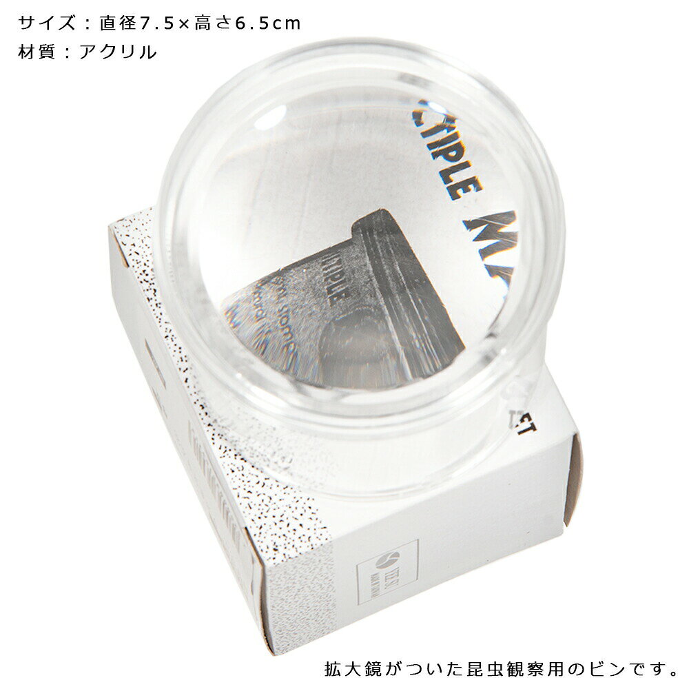 BugDorm　昆虫観察ビン　70×59mm　マス目5mm　関東当日便