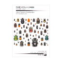 日本産コガネムシ上科図説 第1巻 食糞群 普及版 フンコロガシ ダイコクコガネ 関東当日便