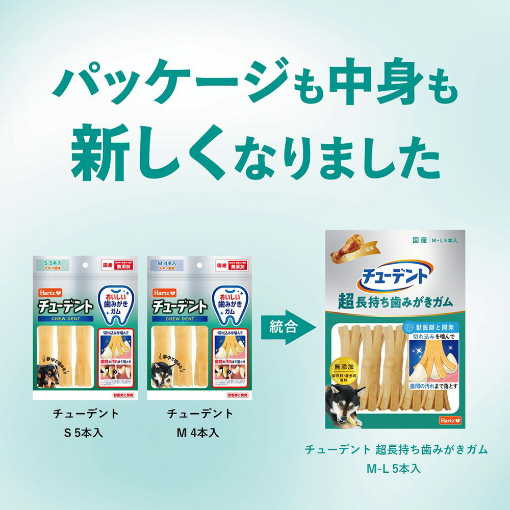 ���塼�ǥ�ȡ�ĶĹ�������ߤ������ࡡM��L��5����������������