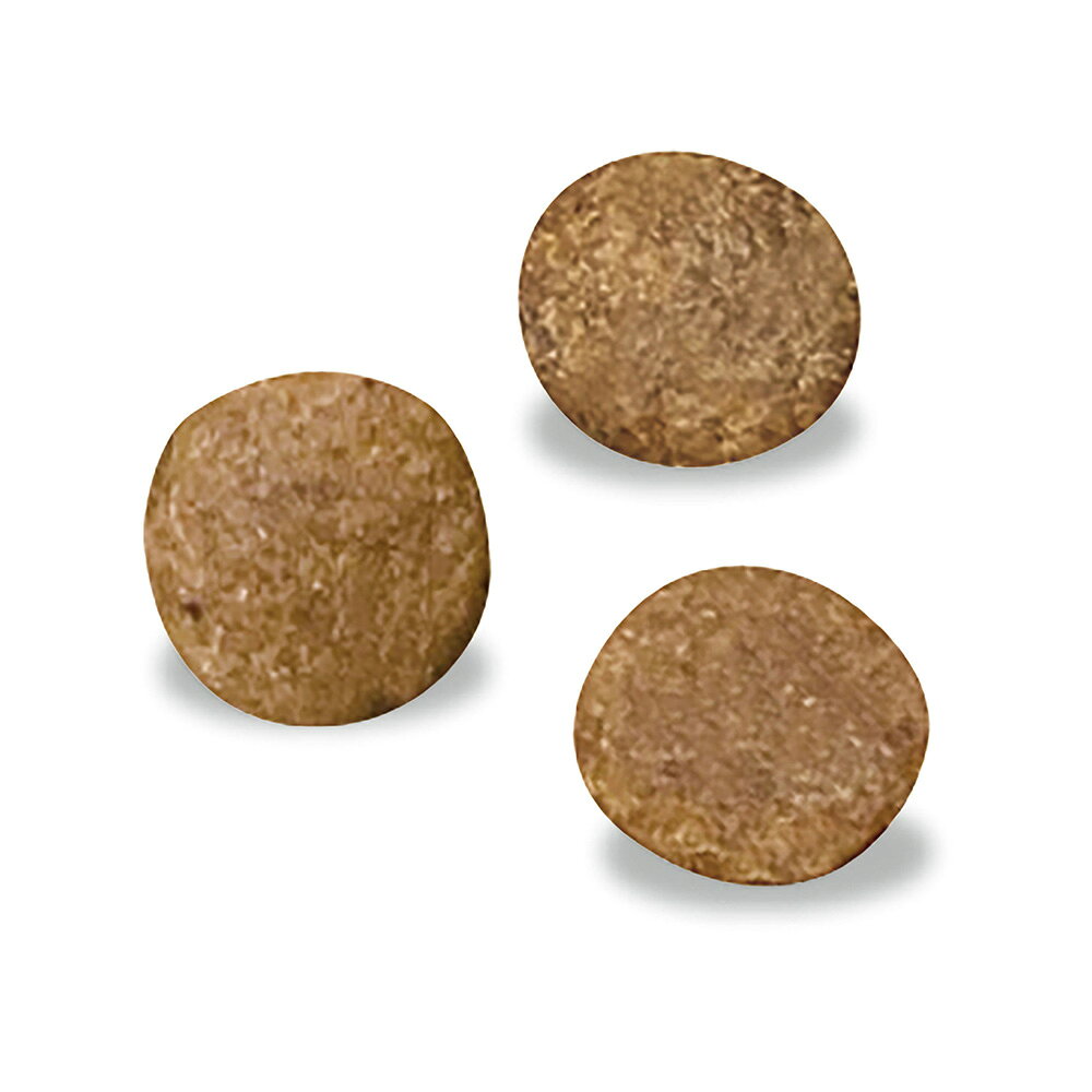 ベッツウェル　犬用食事療法食　食物アレルギーケア　フィッシュ＆ポテト　1kg　関東当日便