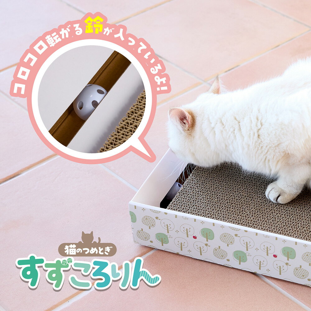 �ܥ�ӥ��륳��ǭ�Υĥ�ȥ�������������󡡥Х롼��ǭ���ޤȤ�������������