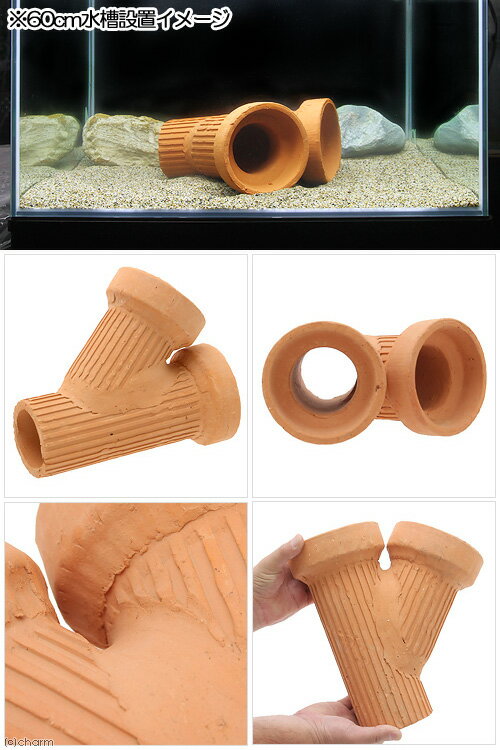 ������ڴɡ�Y���ɡ�M�����75mm���緿�������륿���������ѥ��֥������������ꥦ�����ʡ�����������