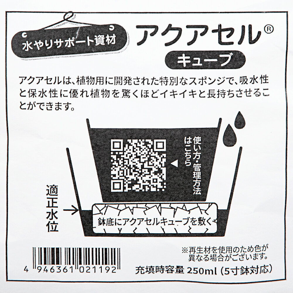 ���������륭�塼�֡�250ml�����ꥵ�ݡ��Ȼ�ࡡ����������