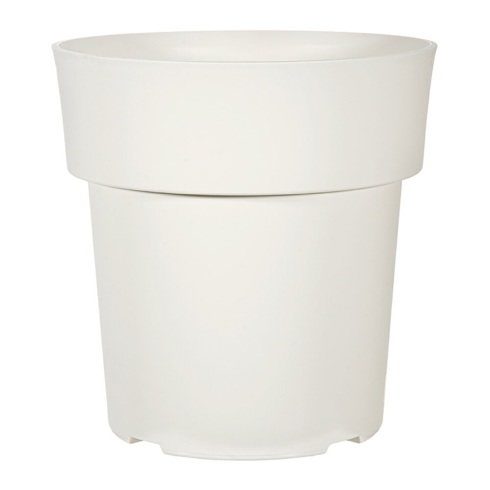 ȭ�����¥ץ饹���å�����������ݥåȡ�24�����ۥ磻�ȡ�����������