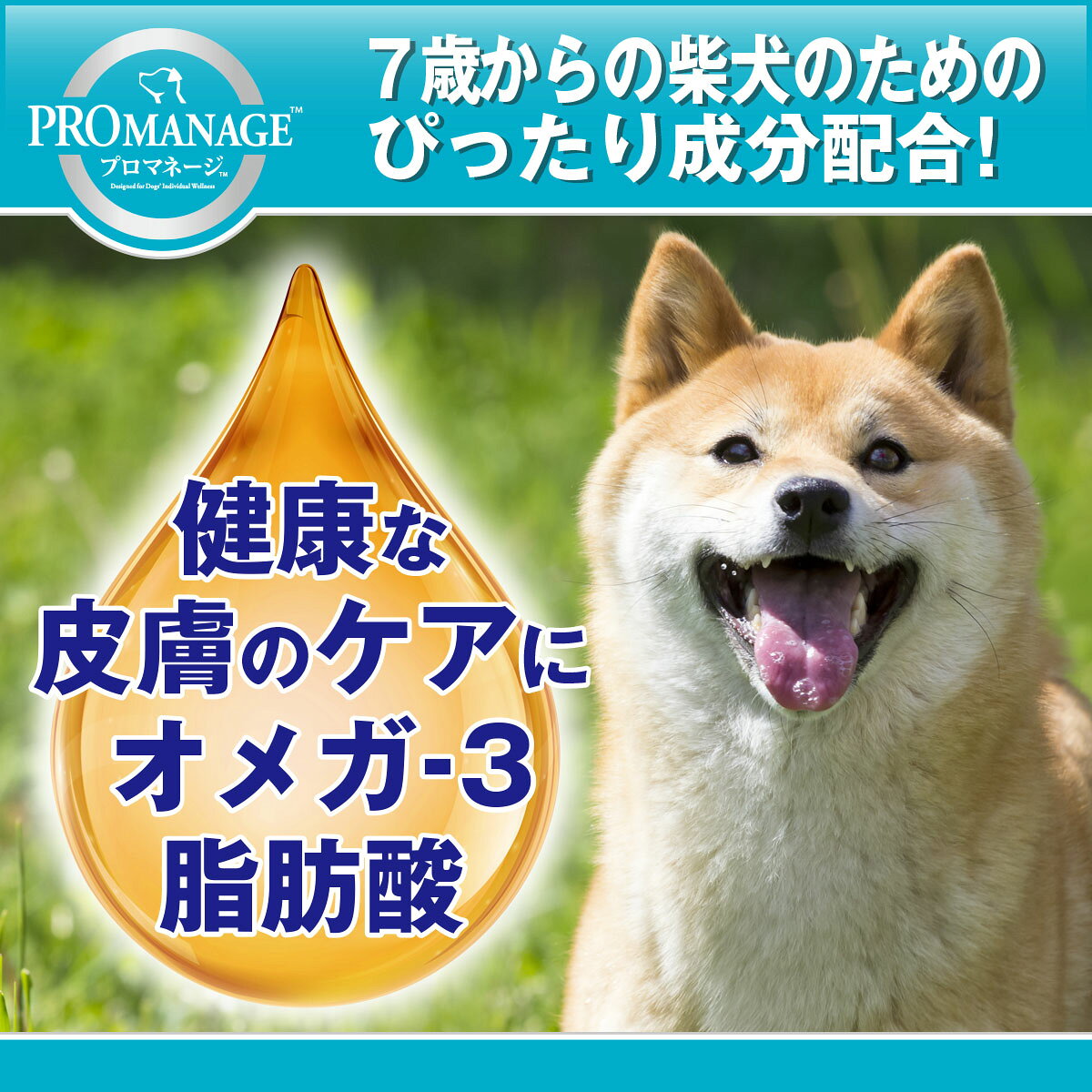 ドッグフード　プロマネージ　7歳からの柴犬専用　4kg　関東当日便
