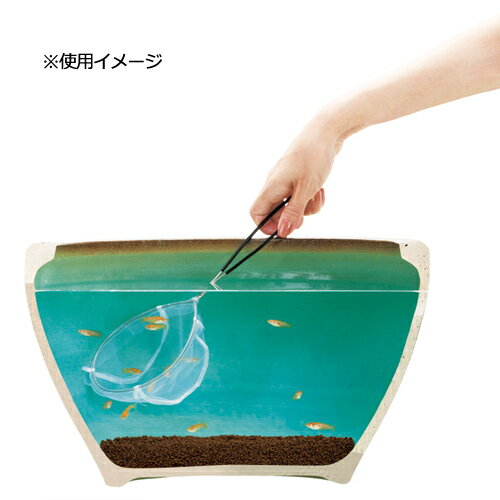 ���ɡ���������ζ��֡���ˡ�����������