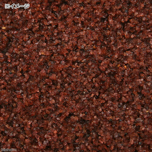 ���󥻡��������ͥåȥ��ȡ���500g������������