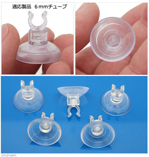 ���¡���������󥫥åס��������ࡡT��5S������������