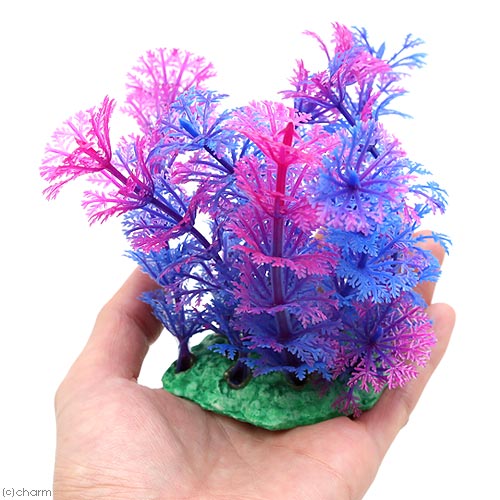 �˥å�������ߥʥ��ץ��ġ�M��3���͹����𡡴���������