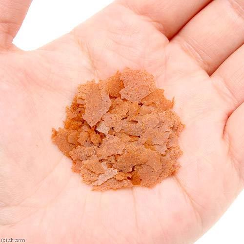 ���硼��󡡥ͥ��ץ�����10g��2�ޡ��������25���¤ꡡ����������