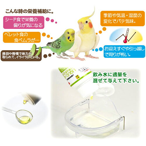 三晃商会　リキッドエイド　マルチビタミン　バード　60ml　鳥　サプリメント　関東当日便 chanet3980-10034252 charm 3980 楽天市場店 サンプル画像2