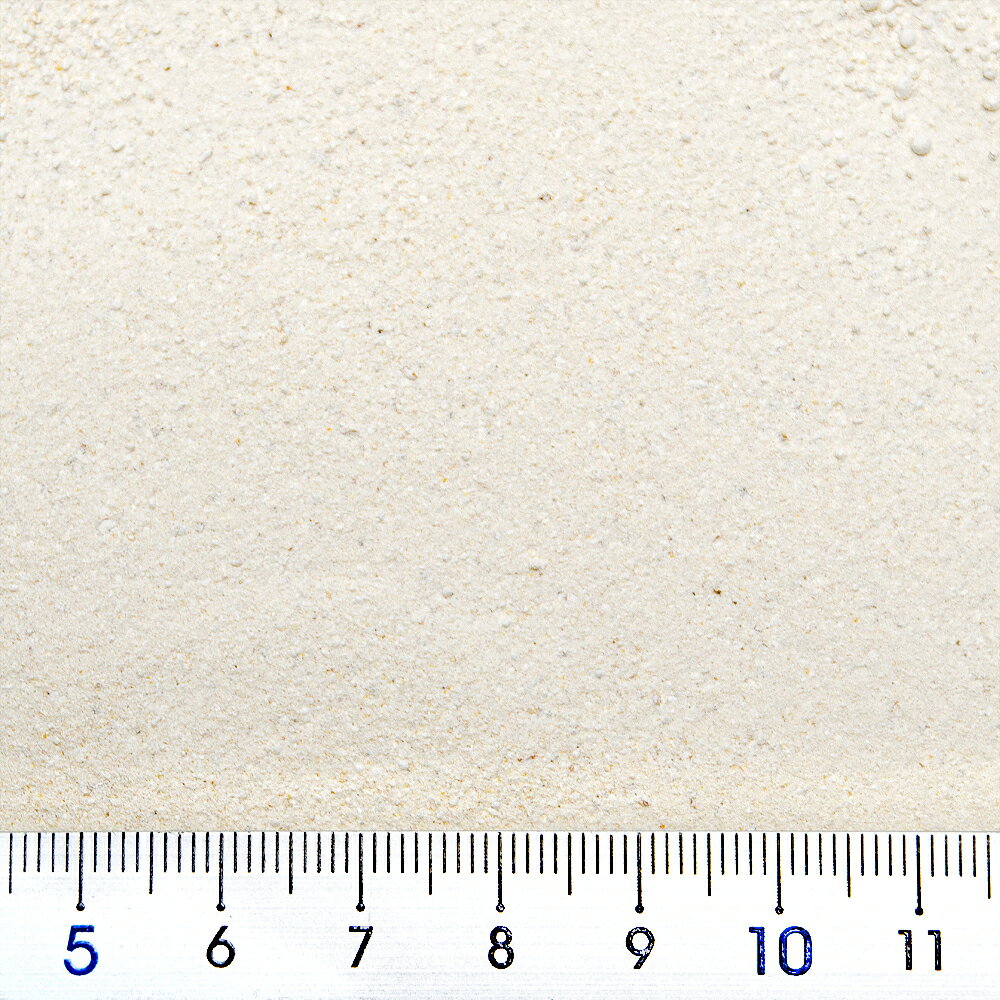 セラ　レプティミネラルH　100ml（85g）　草食性爬虫類用　ビタミン＆ミネラル添加剤　関東当日便 chanet3980-10031738 charm 3980 楽天市場店 サンプル画像2