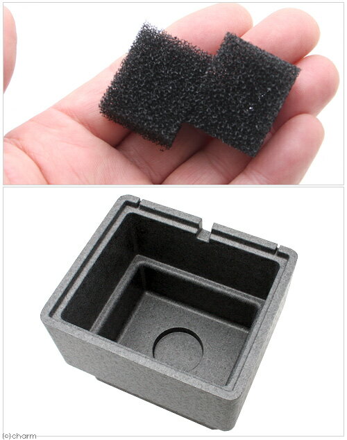 GEX���������������Ŭ�˿���������M������������������塡�������4���¤ꡡ����������