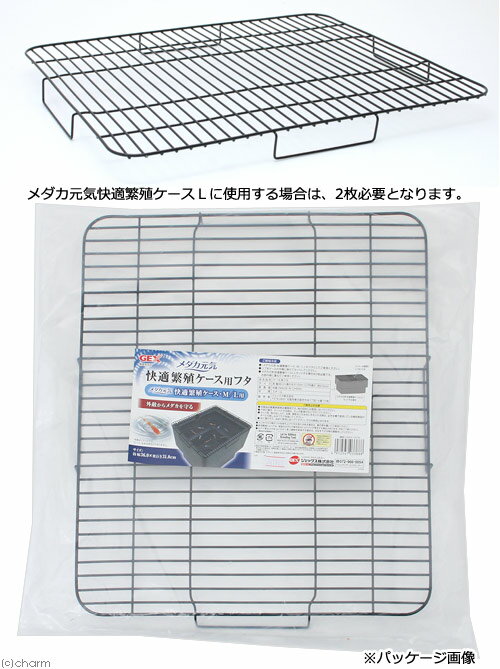 GEX���������������Ŭ�˿���������M��L�ѥե�������������