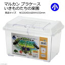 マルカン プラケース いきものたちの楽園 小 仕切り固定式 関東当日便