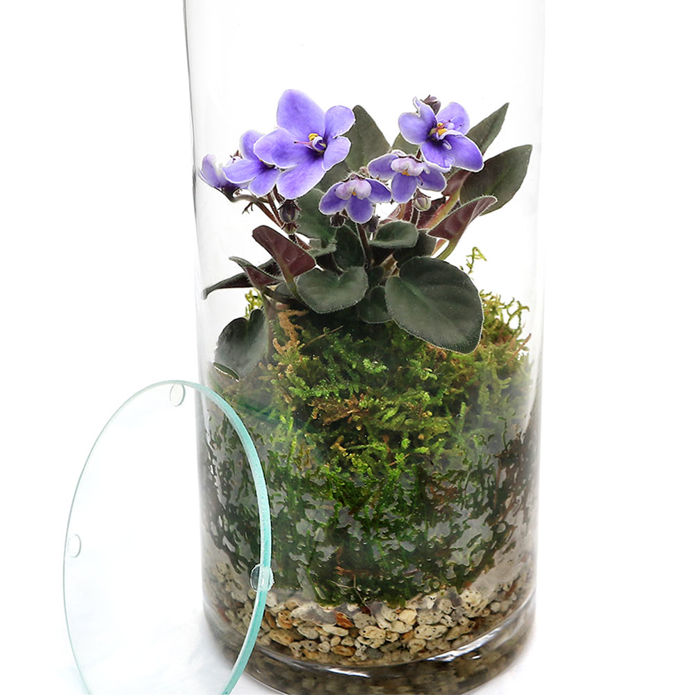 �ʴ��տ�ʪ���ݥƥ�ꥦ�ࡡ����ȥݡ��ꥢ���ʼ浪�ޤ���������ܥȥ�L�����������ա�1�ġˡ������ƥ�ꥦ�ࡡ�ݥƥ顡�����ƥ顡�ݡ�����ƥꥢ