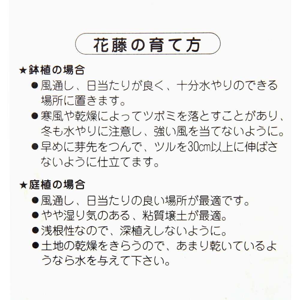 �ʻ�������ߺϡ�ƣ����֡�6���1ȭ�ˡʵ�̲���֡�