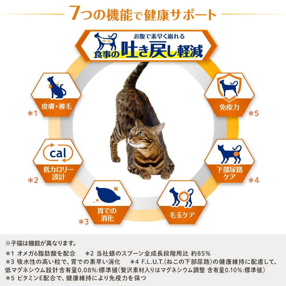 サンプル画像3