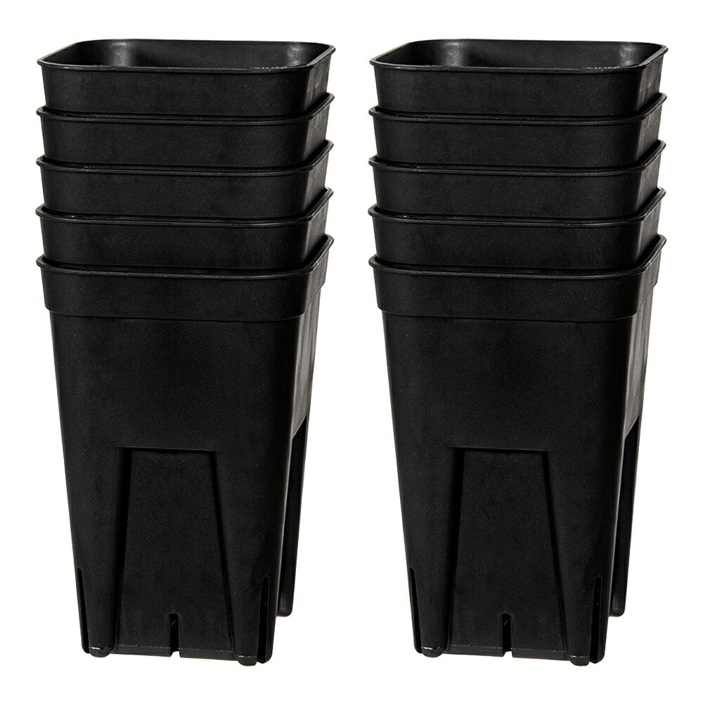 スリット鉢　プレステラ　75深型　黒　10個セット　多肉植物　関東当日便