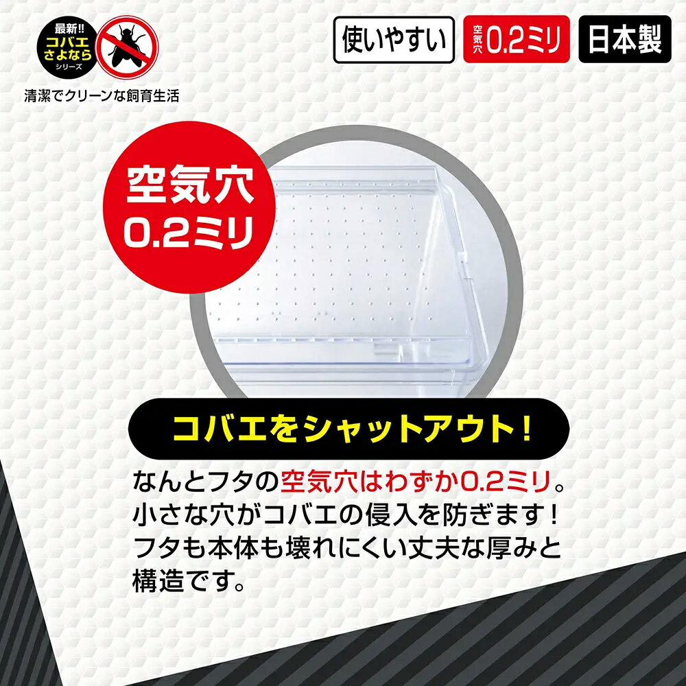 ���Х�����ʤ���饱�������ߥˡ�����������