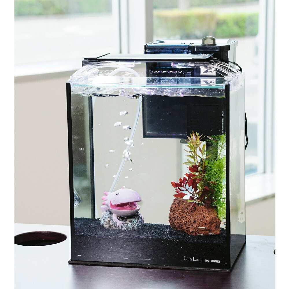 （熱帯魚）（水草）簡単アカヒレ飼育水草レイアウトセット　アカヒレ　Sサイズ付　25cm水槽　ウーパー..