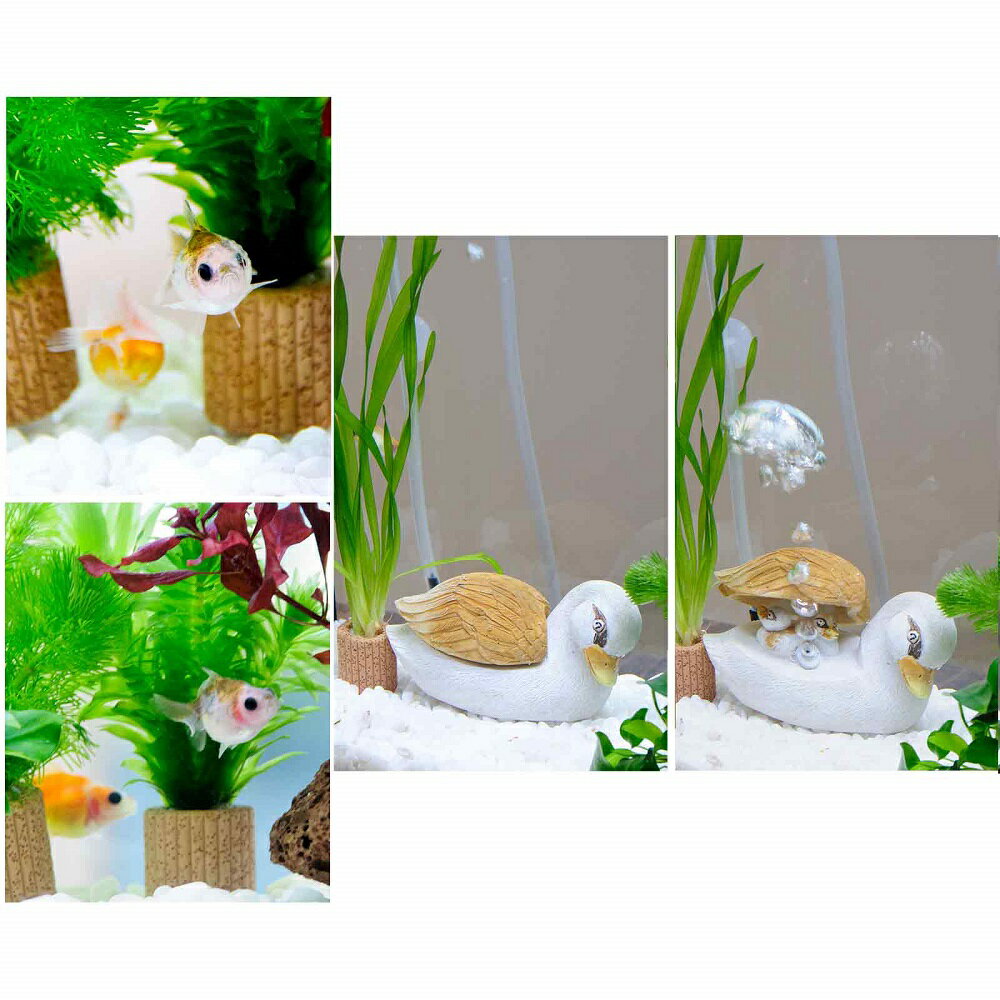 �ʹ񻺶���ˡʿ���˴�ñ�ԥ�ݥ�ѡ���������쥤�����ȥ��åȡ�40cm���塡���륬��ƻ�ver�����ܽ��͹���ꡡ����������