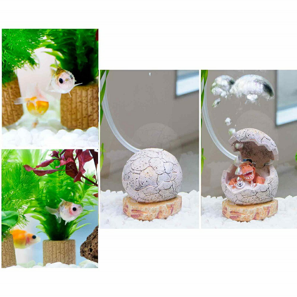 �ʹ񻺶���ˡʿ���˴�ñ�ԥ�ݥ�ѡ���������쥤�����ȥ��åȡ�40cm���塡��ε����ver�����ܽ��͹���ꡡ����������