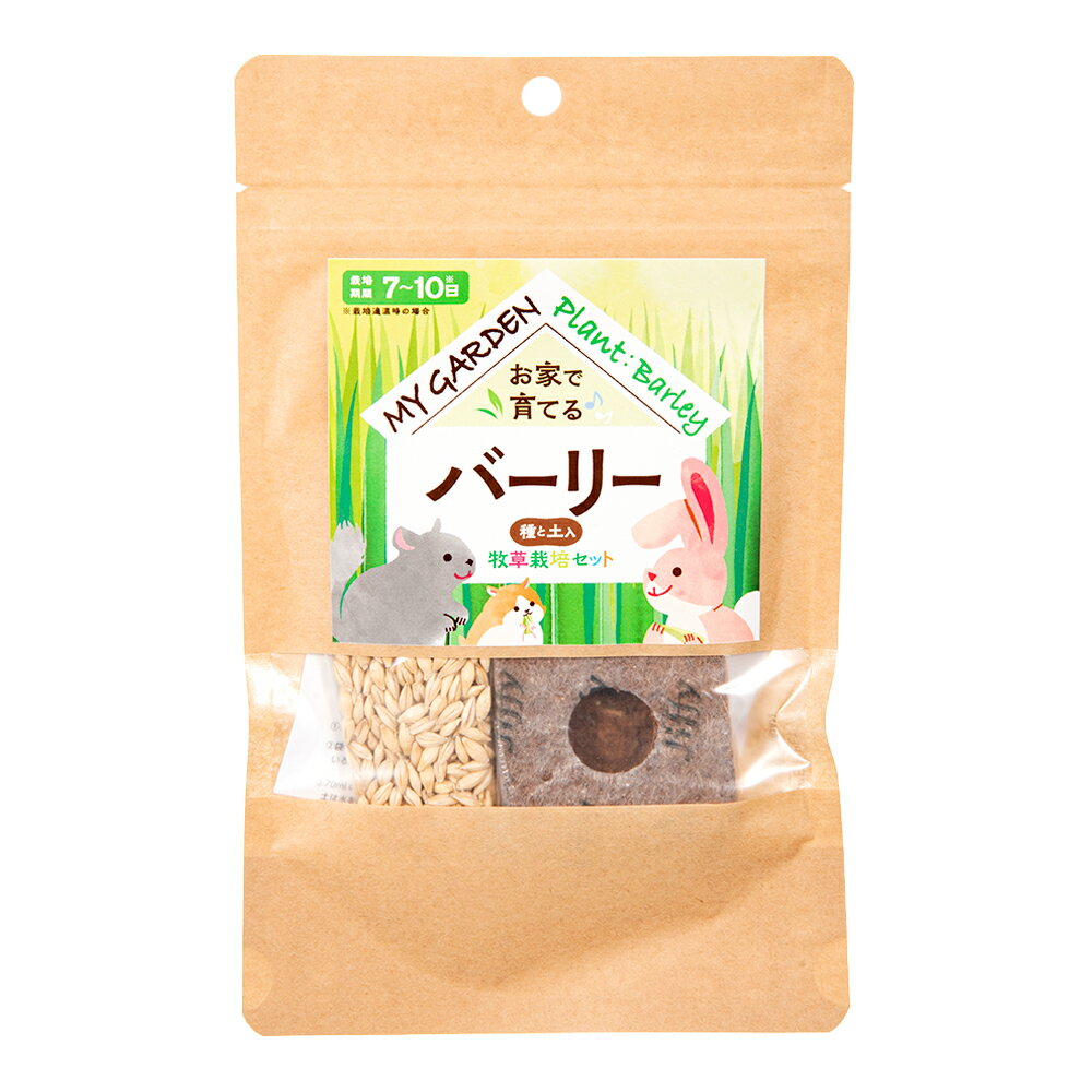 �������������ޥ������ǥ�������ݥ��åȡ��С��꡼������������������