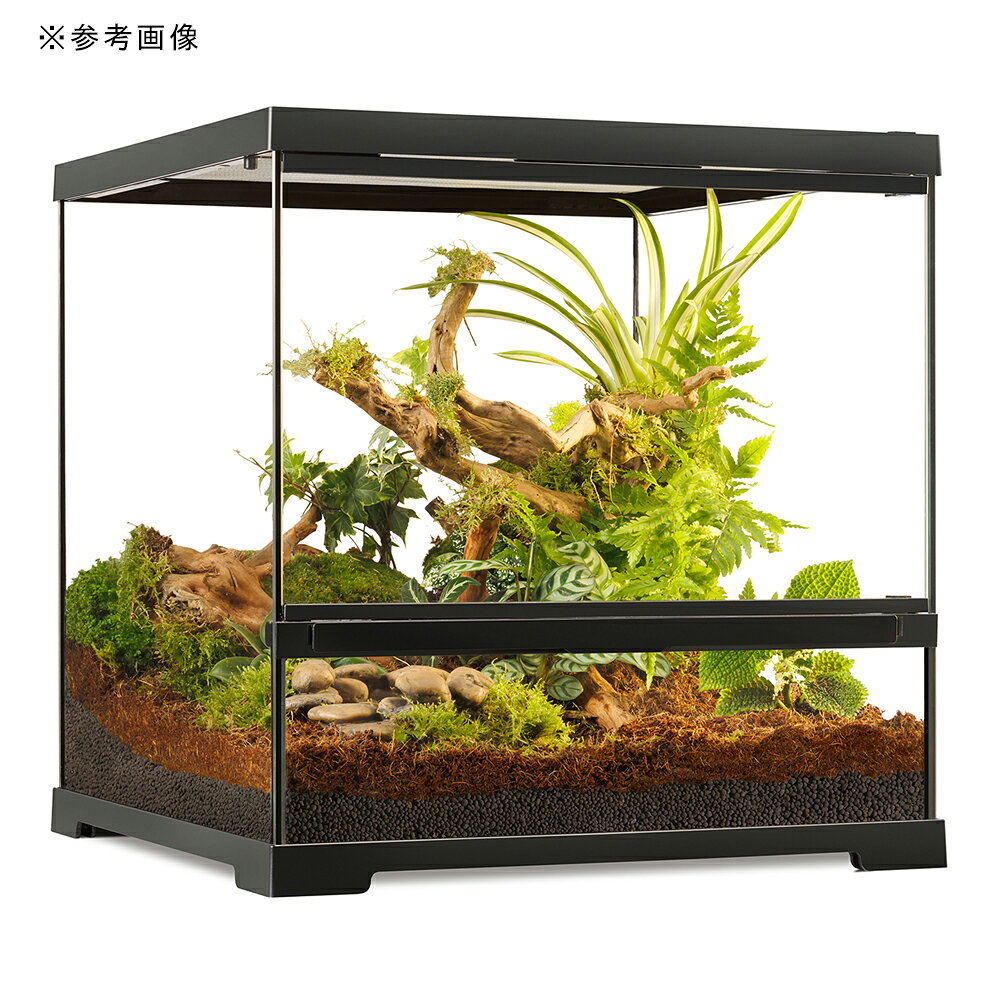 charm 3980 楽天市場店のGEX　エキゾテラ　グラステラリウム　PRO　4545　爬虫類　飼育　ケージ　ガラスケージ　お一人様1点限り｜アングル3