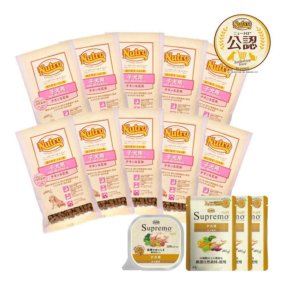 ワンコインお試しセット ナチュラルチョイス 子犬用 超小型犬～中型犬用 チキン＆玄米 30g×10袋 ＋ ウェットフード お一人様1点限り 関東当日便