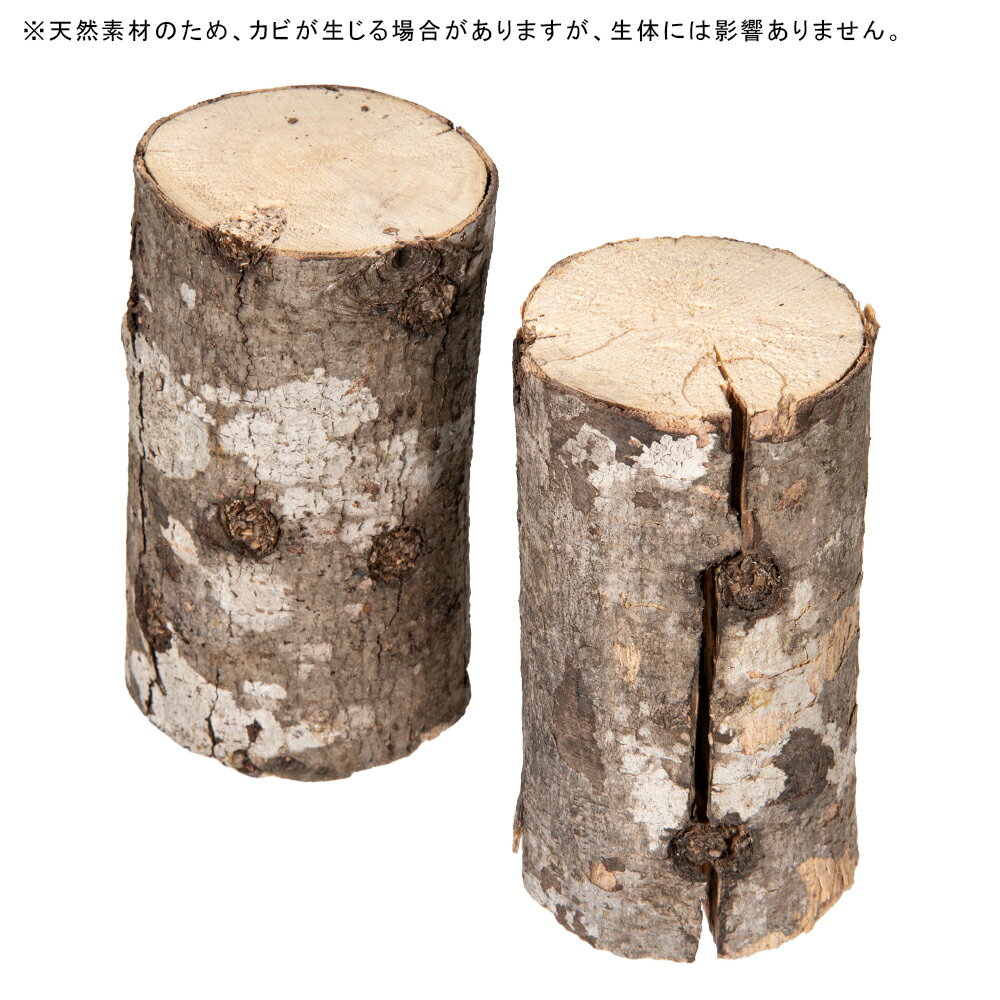 �����ǻ����ڡ�M�����ܡ��ɺࡡ����������