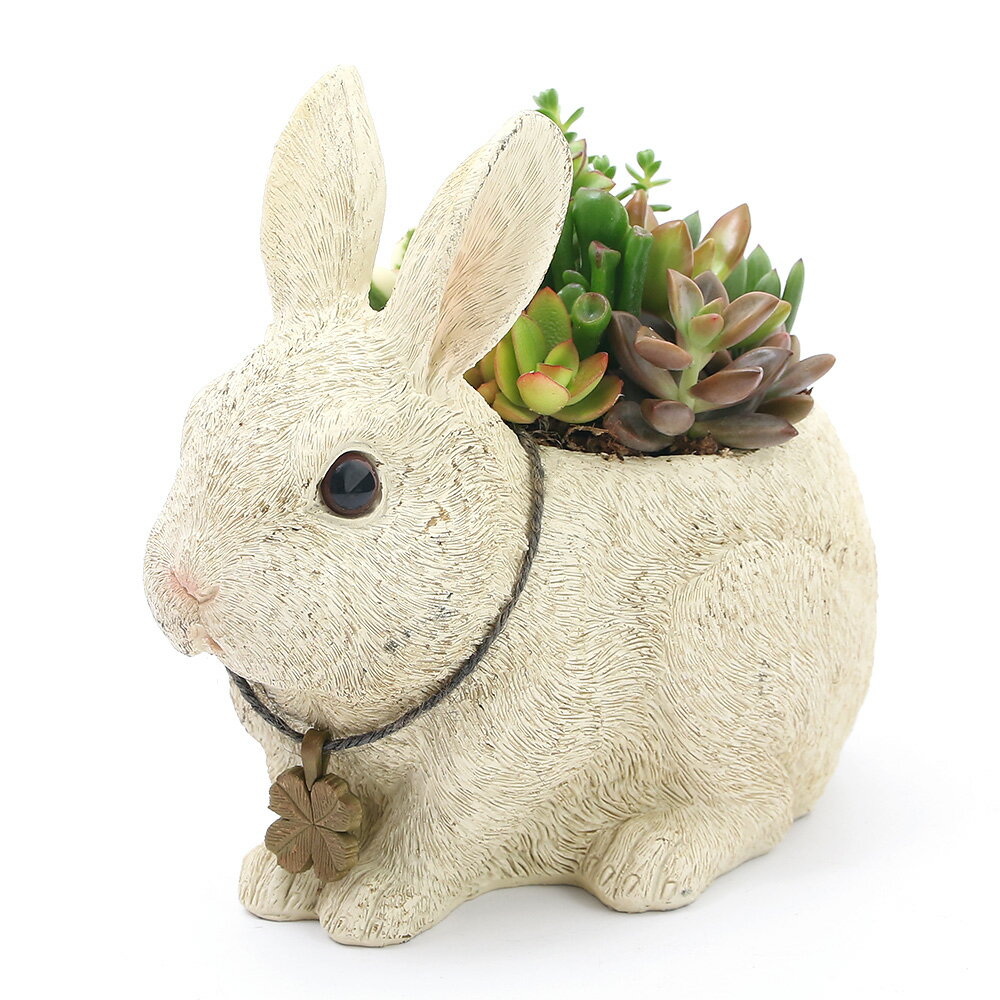 （観葉植物）多肉寄せ植え 動物達の贈り物 アンティーク調ラビット（1鉢） 多肉植物 おしゃれ プレゼント