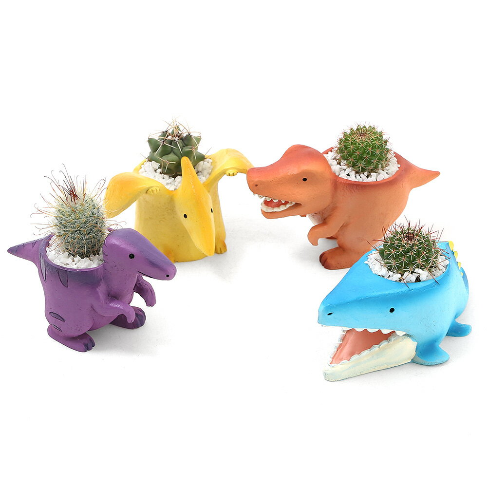 （観葉植物）おまかせプチサボテン リトル恐竜 鉢おまかせ（3鉢）