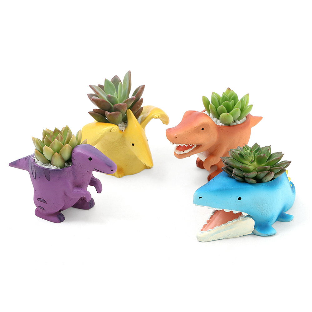 （観葉植物）おまかせプチ多肉 リトル恐竜 鉢おまかせ（3鉢）