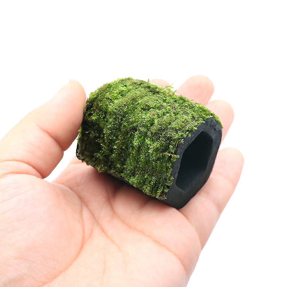 （水草）巻きたて　ウィローモス　炭家土管　角型（水中葉）（無農薬）（1個）