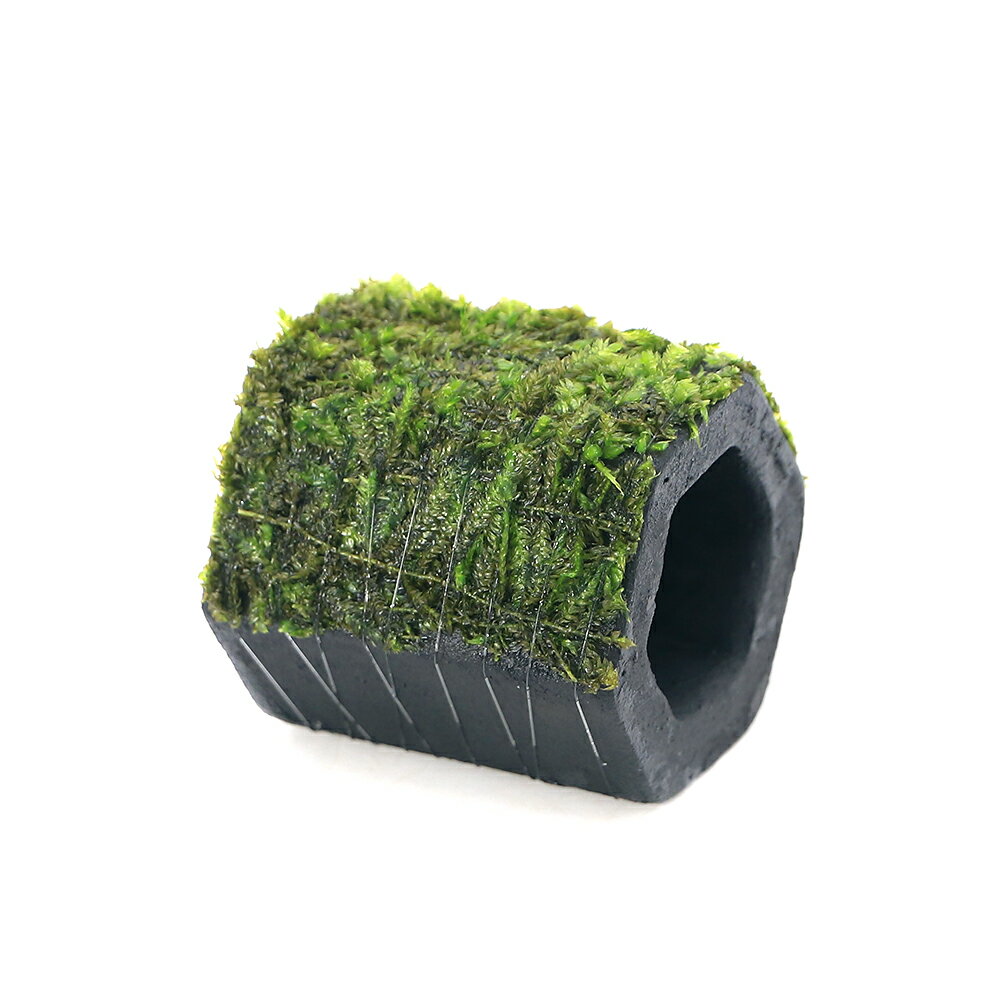 �ʿ���˴������ơ����㥤��������ƥ��������⥹��ú���ڴɡ��ѷ��ʿ����աˡ�̵�����ˡ�1�ġ�