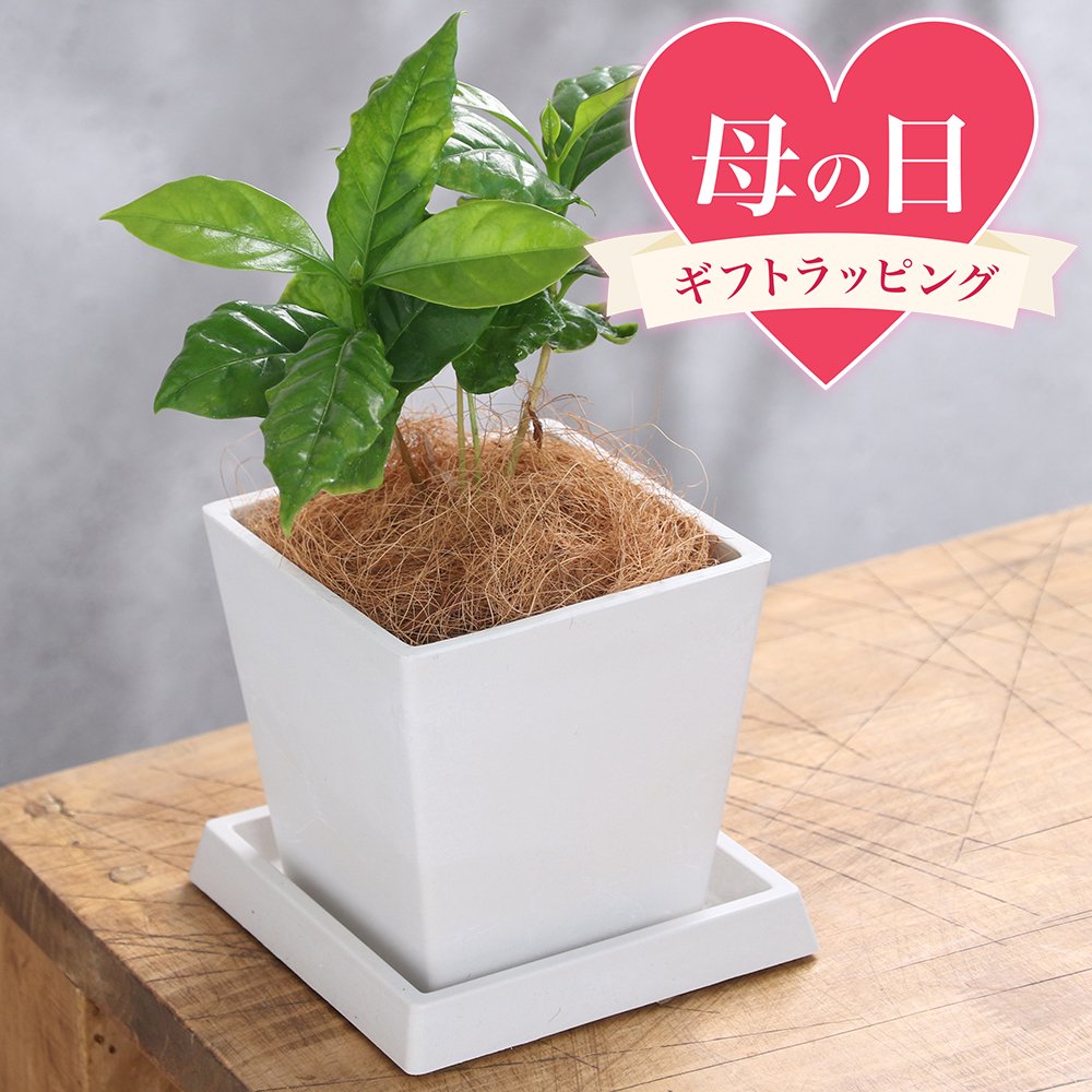 商品画像3