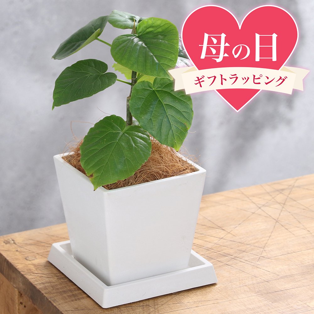 商品画像3